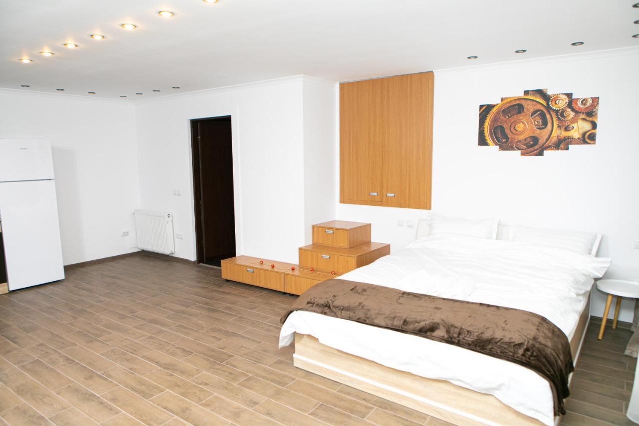 Vila Elisabeta Brasov Bagian luar foto